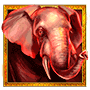 Serengeti Gold