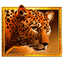 Serengeti Gold