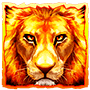 Serengeti Gold