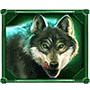 Wolf Riches