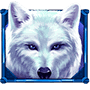 Wolf Riches