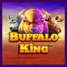 Buffalo King Slot Review casino logo